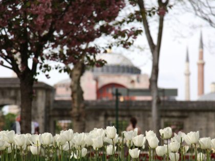 Ayasophia site